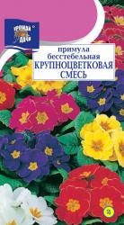 цв.мног. ПРИМУЛА   БЕССТЕБЕЛЬНАЯ  КРУПНОЦВЕТКОВАЯ  СМЕСЬ  / Урожай у Дачи /